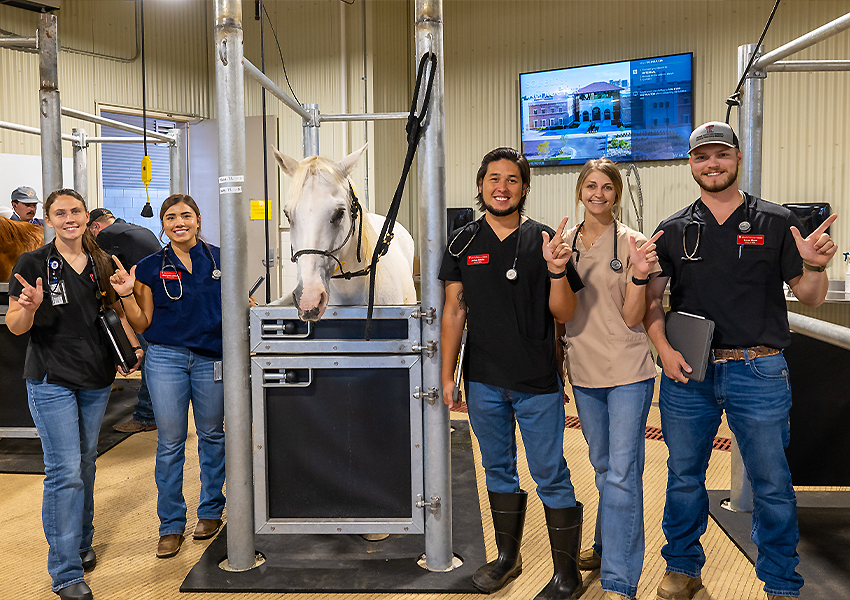 Railey Rumohr taking picture with friends around a horse