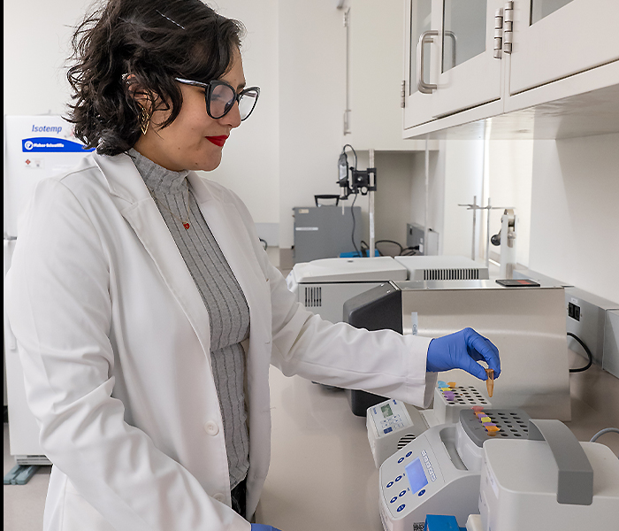 Daniela performing research 