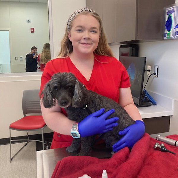 Maddie helping a dog