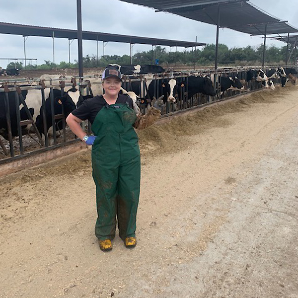 Maddie Brown helping dairy cows