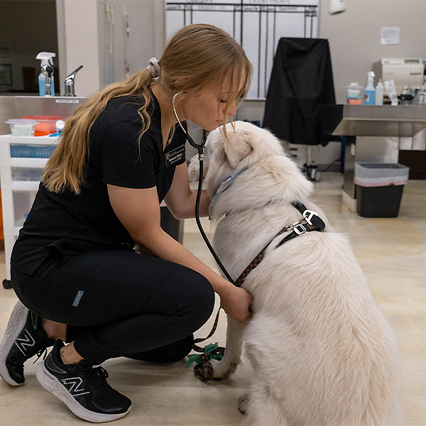 Makenna listening to a dogs heart