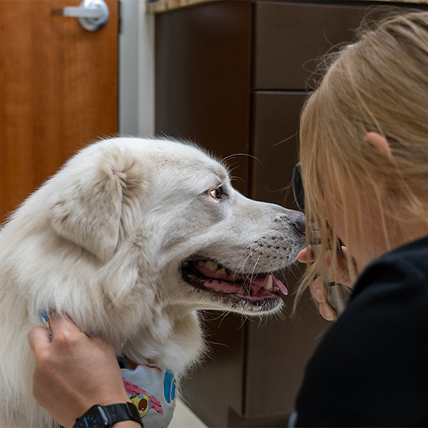Makenna looking into a dog's eye