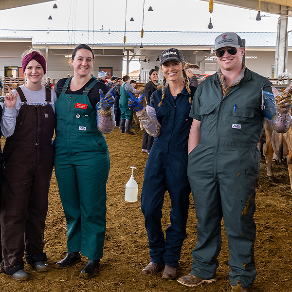 Bentley (second from right) during a palpation lab