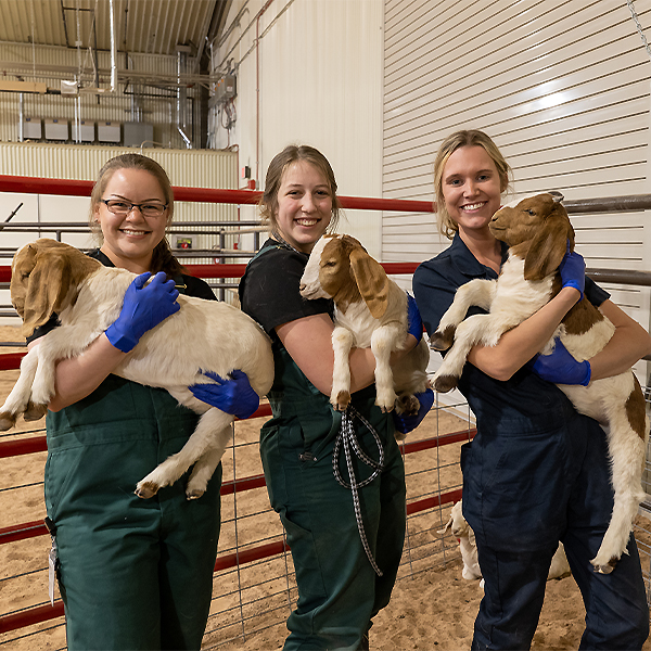 Bentley on the right holding a goat