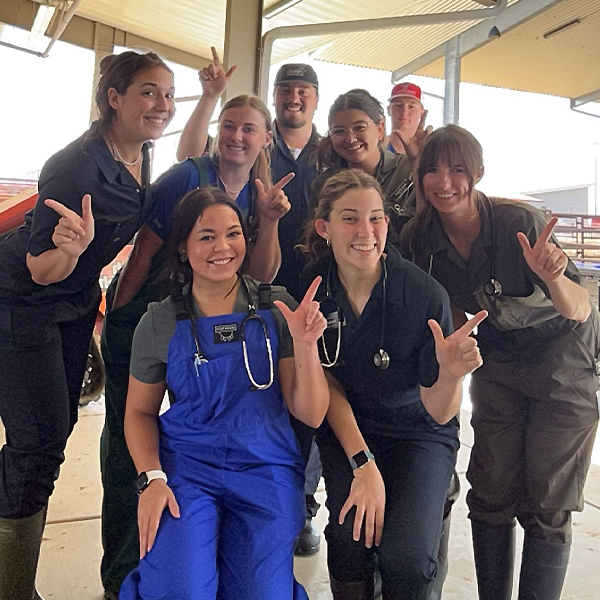 Group of students 