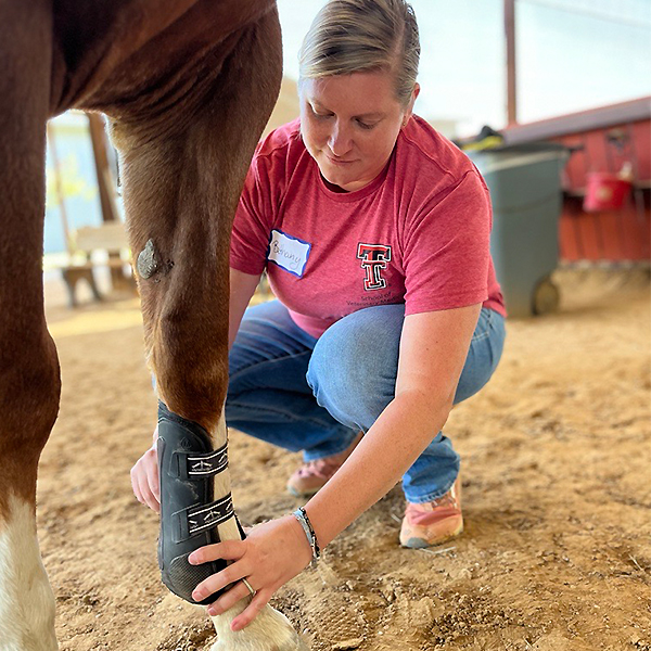 Bethany working with a horse