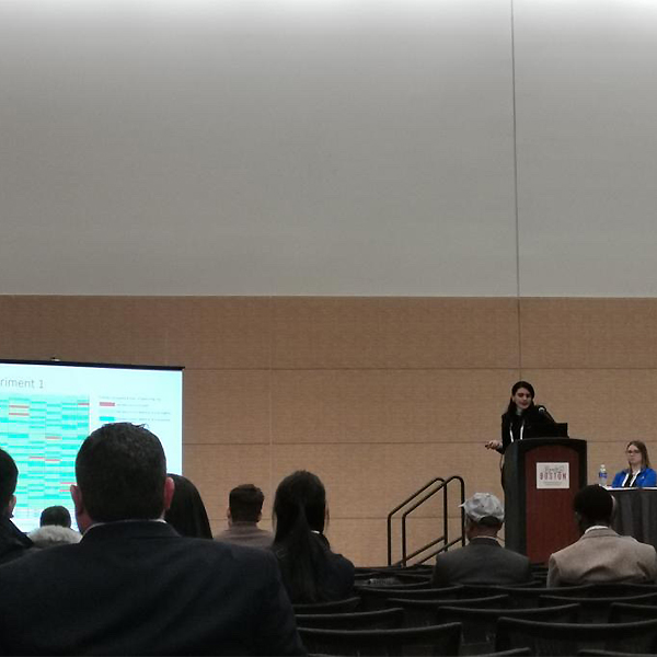 Hanin presenting at a conference