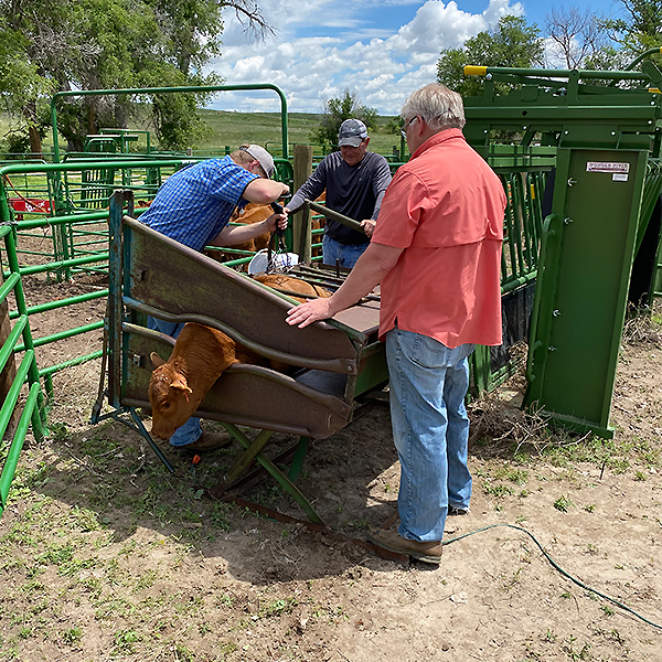 Kameron working on family ranch 