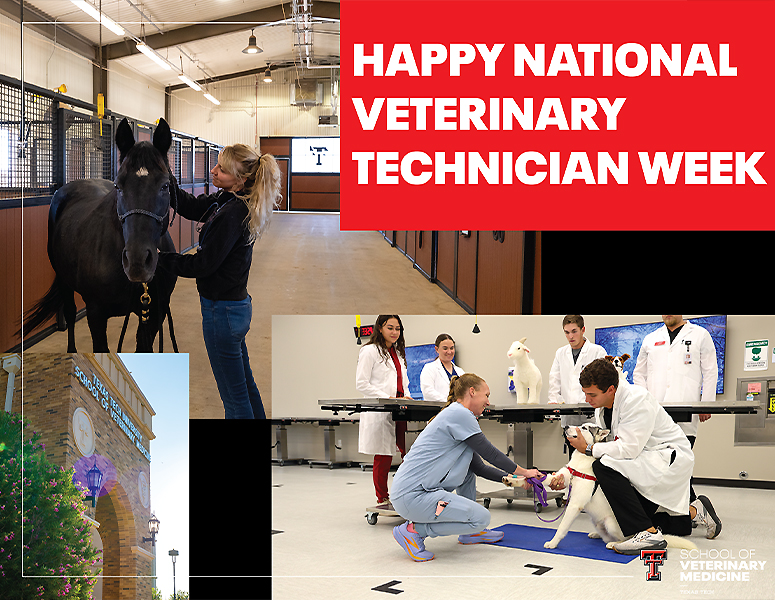 2025 National Vet Tech Week Photo 2025 National Vet Tech Week Photo