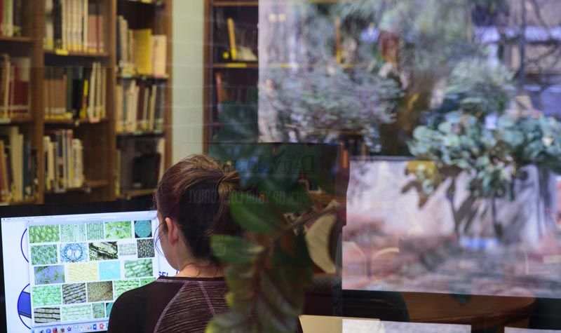 TCVPA student working on art project on a computer visual performing arts