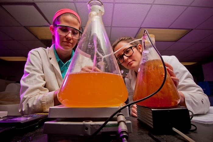 Students in Lab