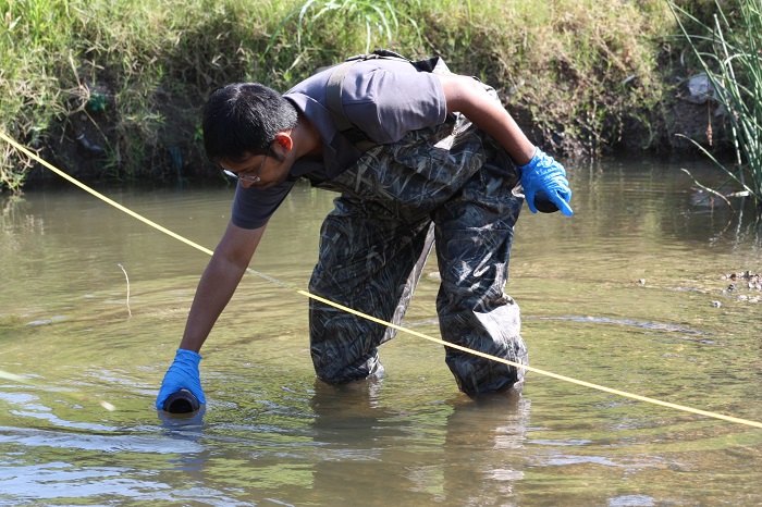 Field Work in Stream