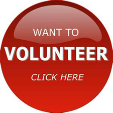 volunteer button large